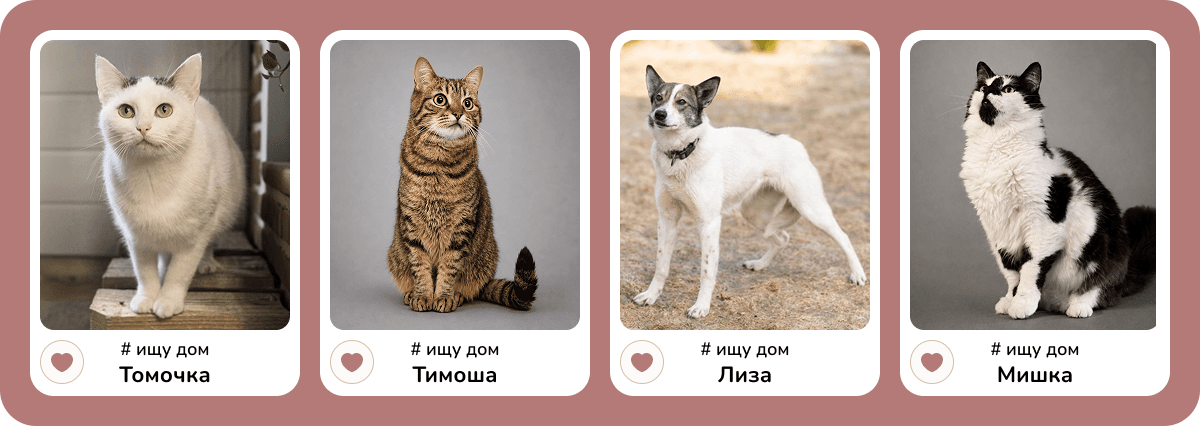 ДЗЖ.png