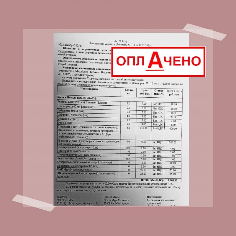 Пискля помощь.jpg